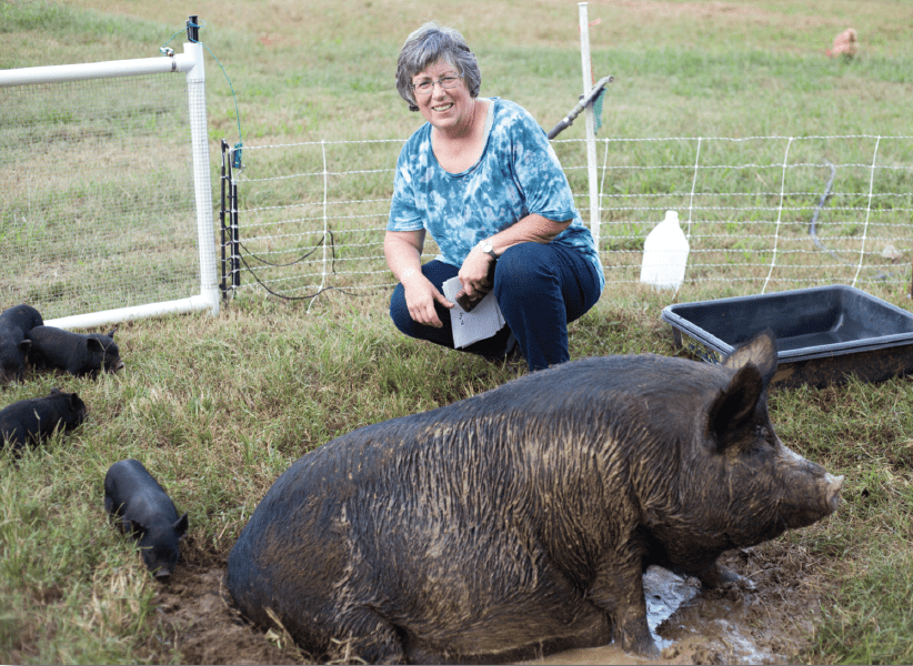 Cathy Payne with mama hog and piglets.